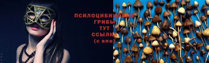 Галлюциногенные грибы Cubensis  Белорецк 